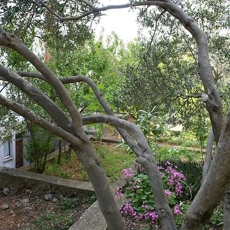 518c Podgora (Split-Dalmatia)